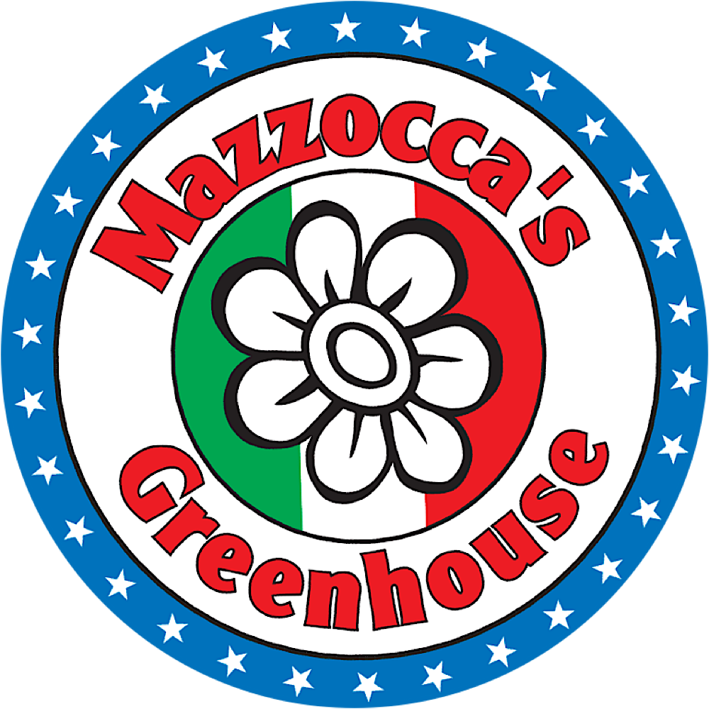 MainLogo Mazzocca's