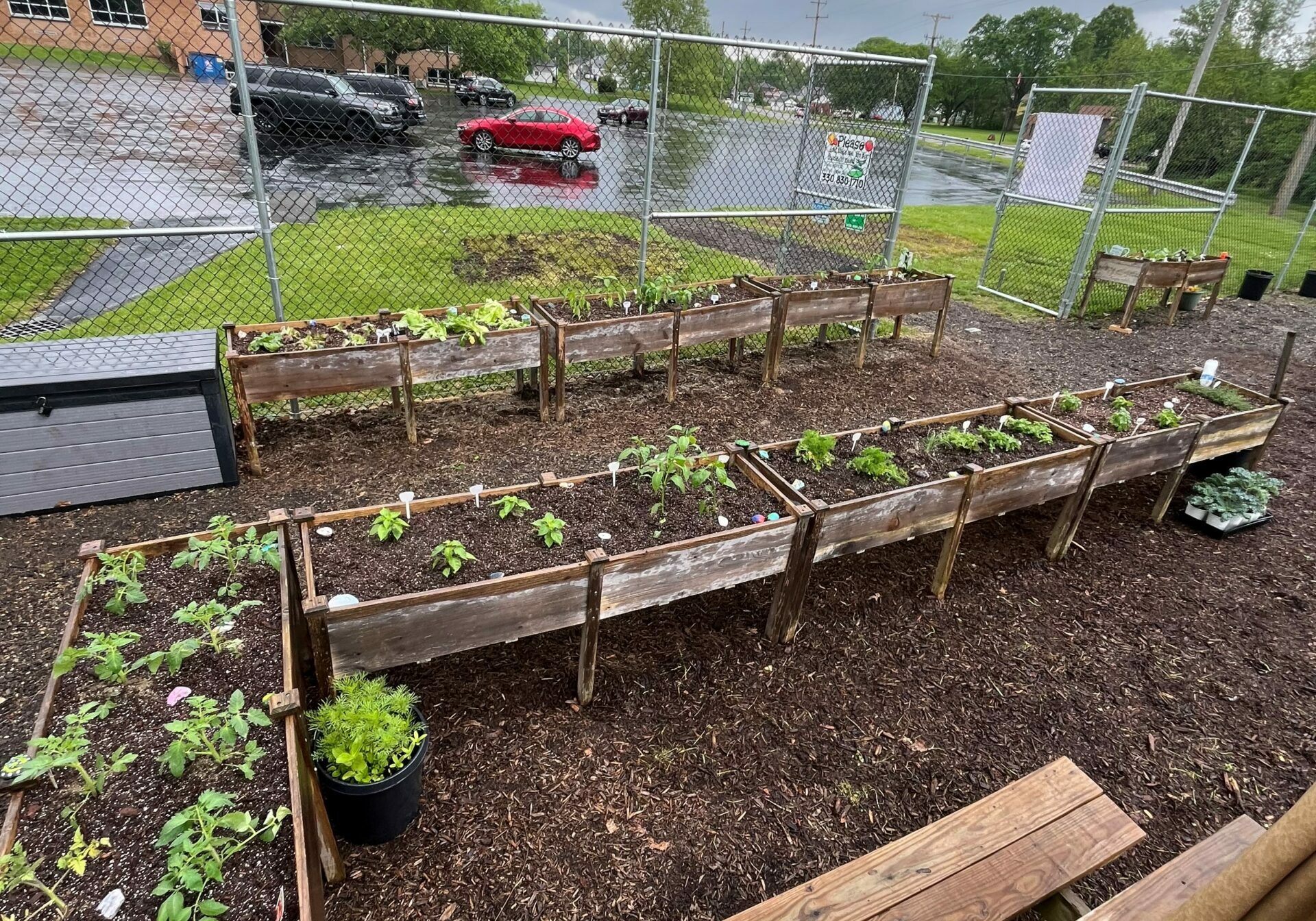 Raised Beds 5 Raised Beds 5